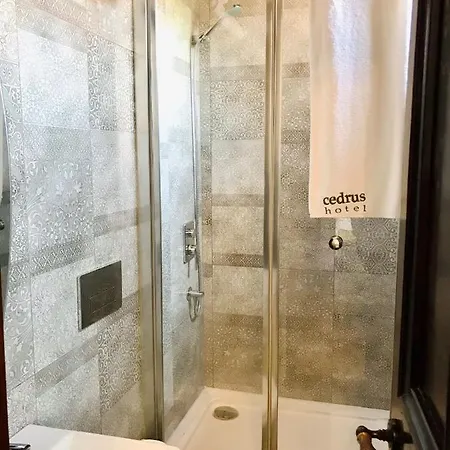Cedrus Antalya