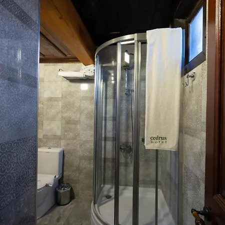 Cedrus Antalya