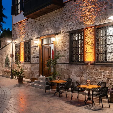 Cedrus Antalya