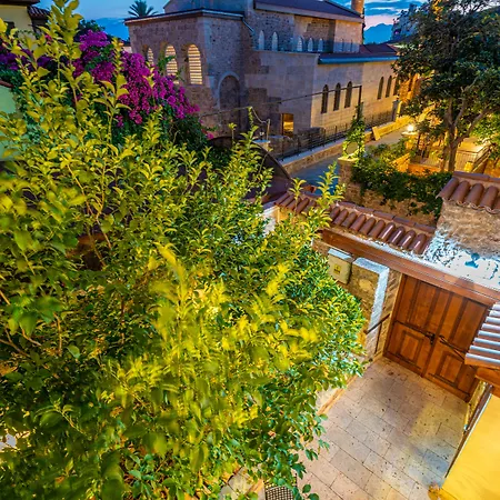 Cedrus Hotel Antalya