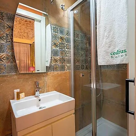 Cedrus Antalya