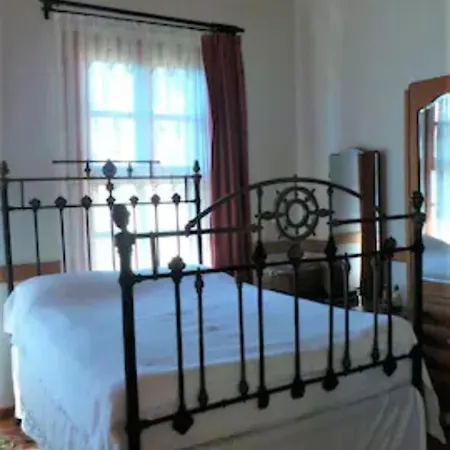 Cedrus Antalya