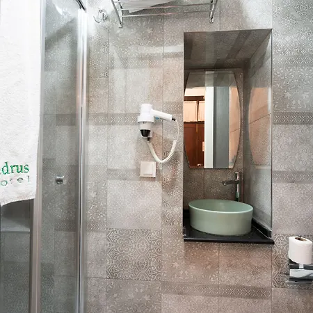 Hotel Cedrus