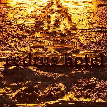 Szálloda Cedrus