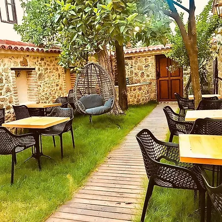 Cedrus Antalya