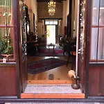 Cedrus Antalia