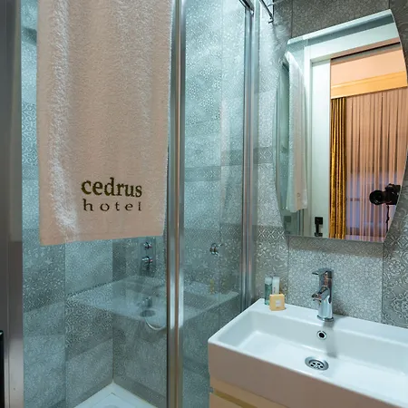 호텔 Cedrus
