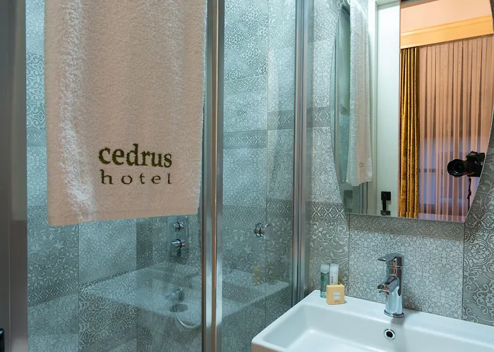 호텔 Cedrus