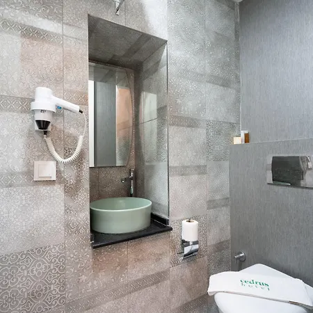 Cedrus Antalya
